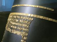 Puschkinmuseum, Schatz des Prijamos