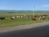 Russland, Tunkatal