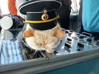 Schiff Nikolaj Tschernyschewskij, Besichtigung der Kapitänsbrücke