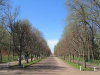 St Petersburg 205