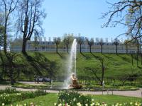 St Petersburg 207