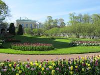 St Petersburg 388