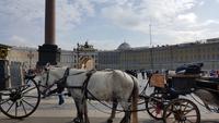 St. Petersburg, Schlossplatz