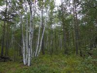 Wanderung