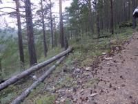 Wanderung