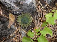 Wanderung
