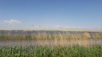 Wolga Delta