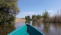 Wolga Delta