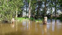 Wolga Delta