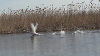 Wolga Delta