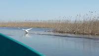 Wolga Delta