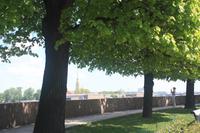 an der Newa