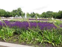 im Gorki-Park