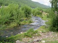 in Bolschie Koty
