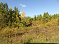 sibirischer Herbst