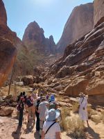 bei den Felszeichnungen am Jebel Ikmah