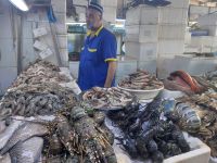 Jeddah Fischmarkt