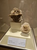 Riad - Nationalmuseum von Saudi-Arabien (Wüstenrose)