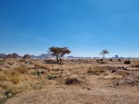 Ausflug Wadi Al Lawz