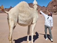 Ausflug Wadi Al Lawz