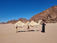 Ausflug Wadi Al Lawz