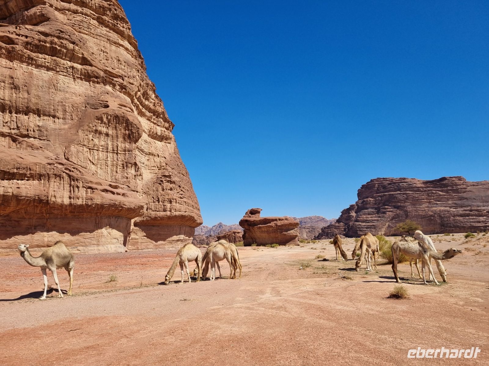 Ausflug Wadi Al Lawz