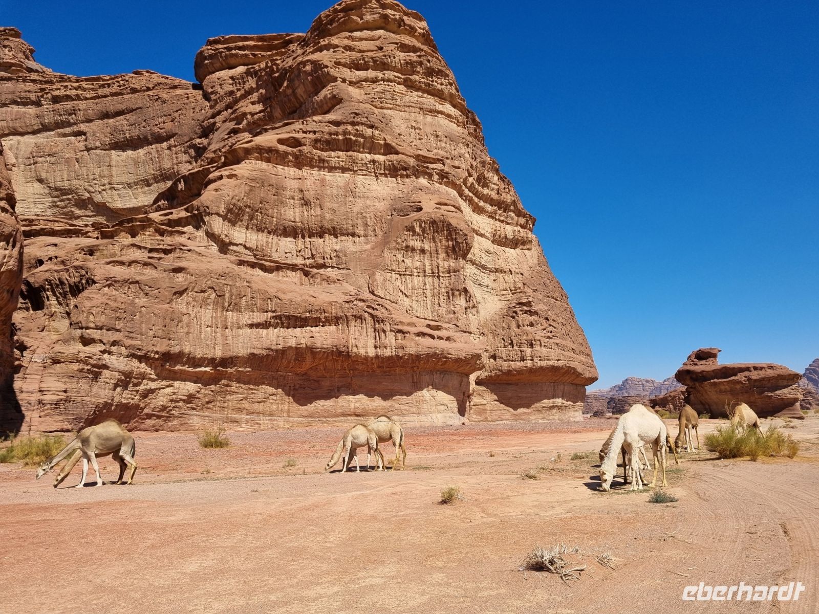 Ausflug Wadi Al Lawz