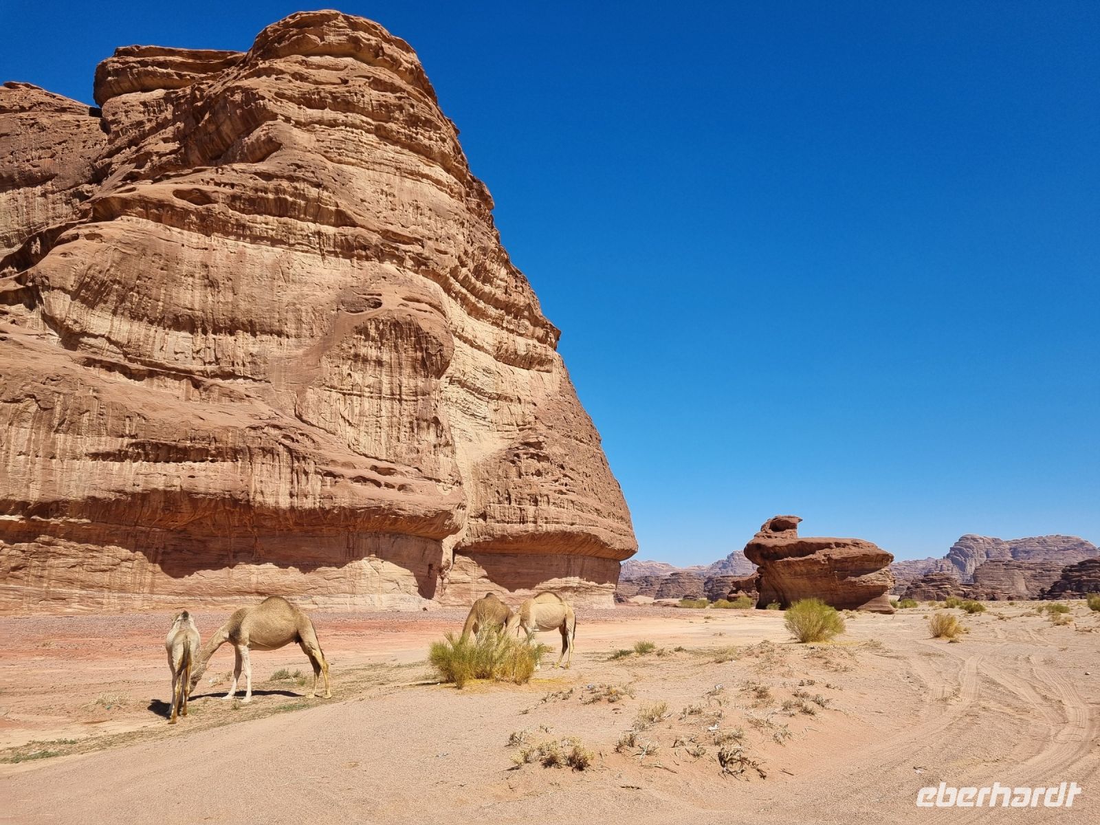 Ausflug Wadi Al Lawz