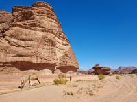 Ausflug Wadi Al Lawz