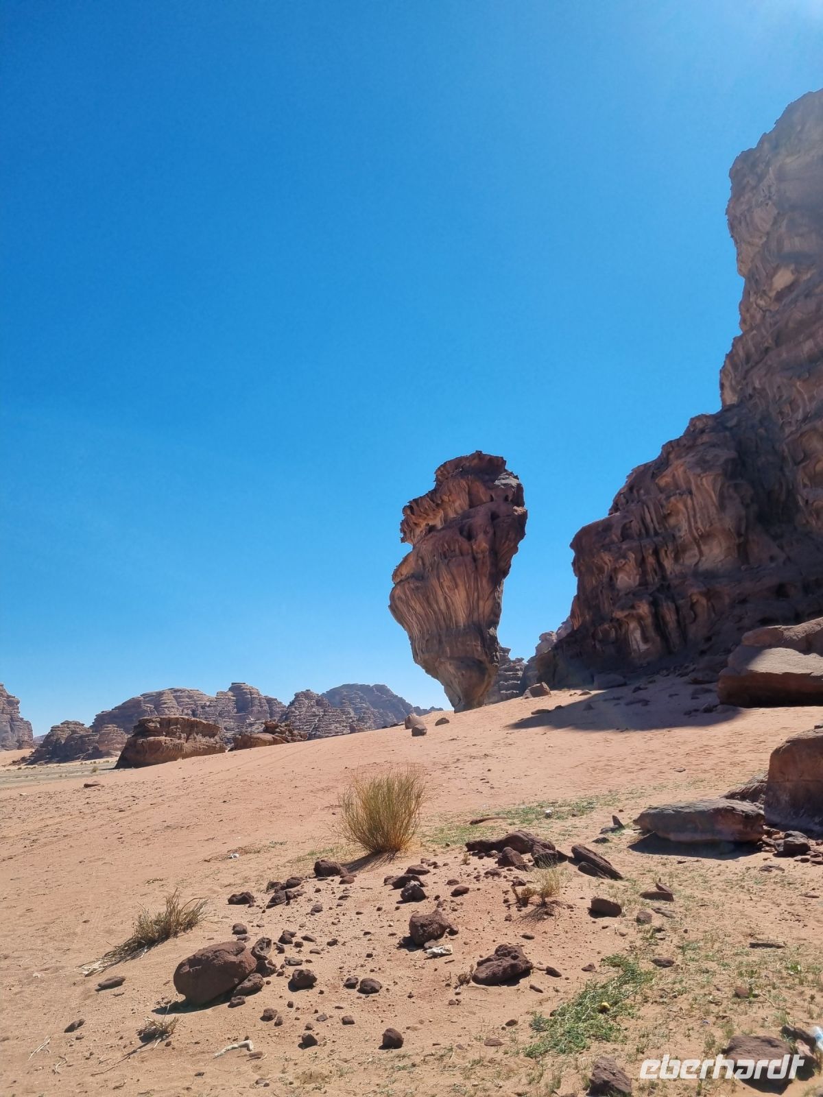 Ausflug Wadi Al Lawz - Champignonfelsen