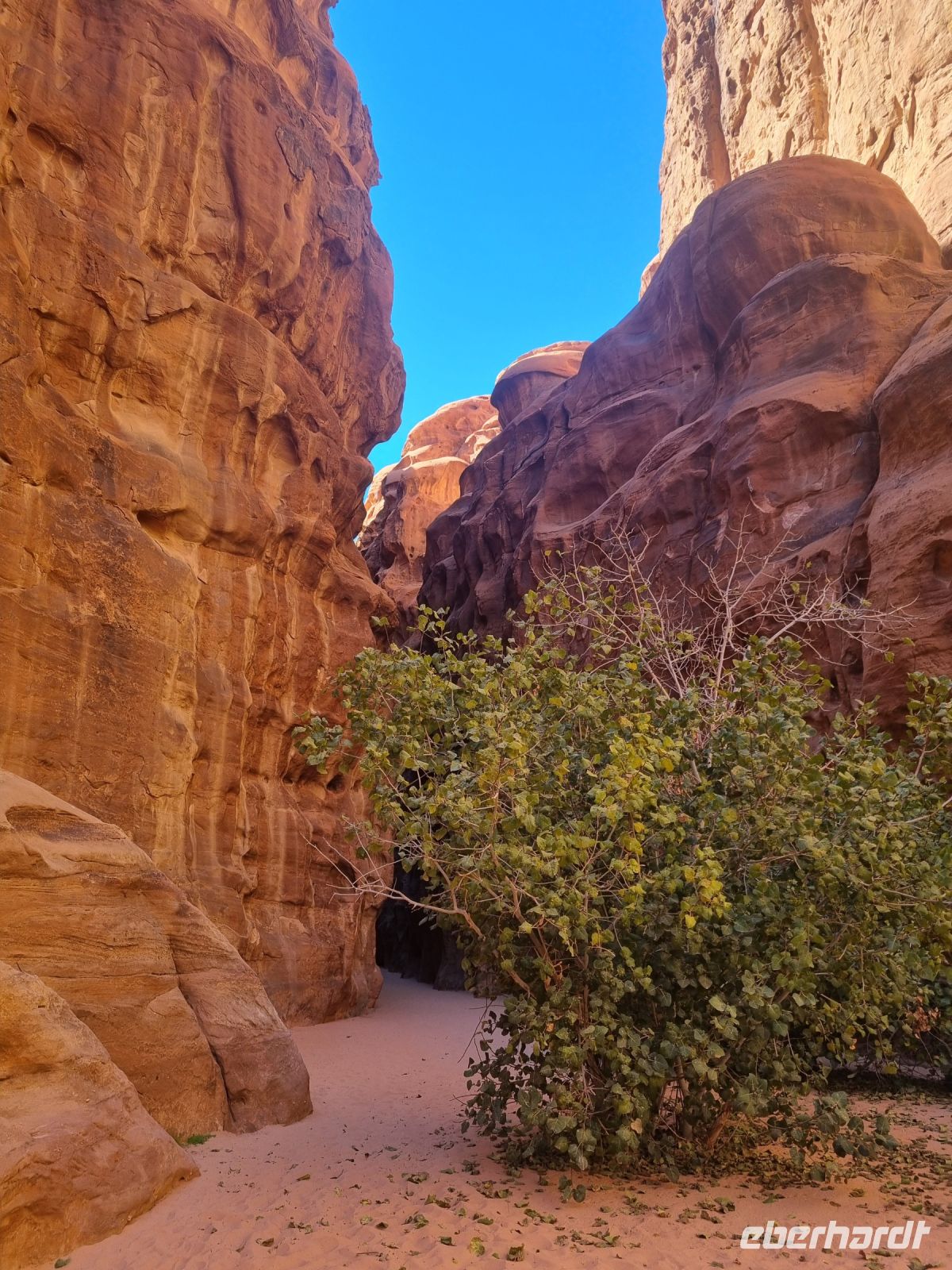 Ausflug Wadi Al Lawz