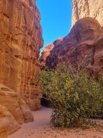 Ausflug Wadi Al Lawz