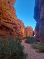 Ausflug Wadi Al Lawz