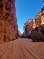 Ausflug Wadi Al Lawz