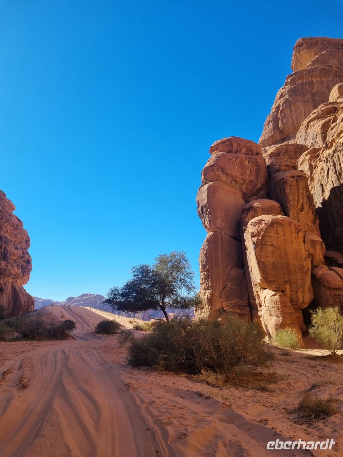 Ausflug Wadi Al Lawz