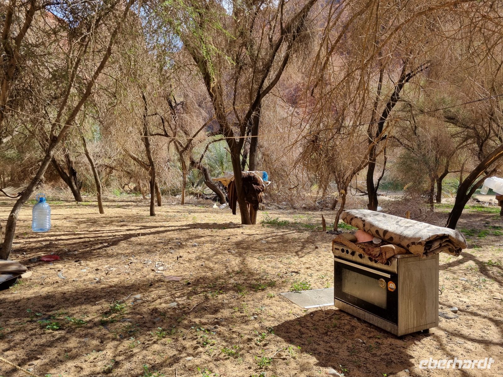 Wadi Al Disah - Mittags-Picknick auf einer Farm