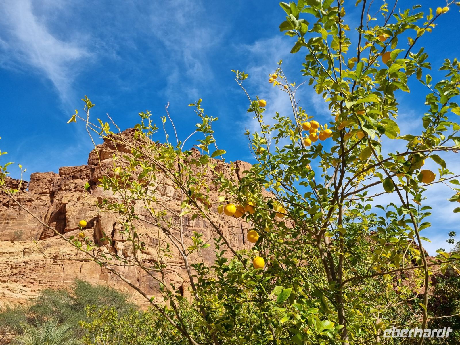 Wadi Al Disah - Mittags-Picknick auf einer Farm