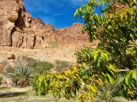 Wadi Al Disah - Mittags-Picknick auf einer Farm