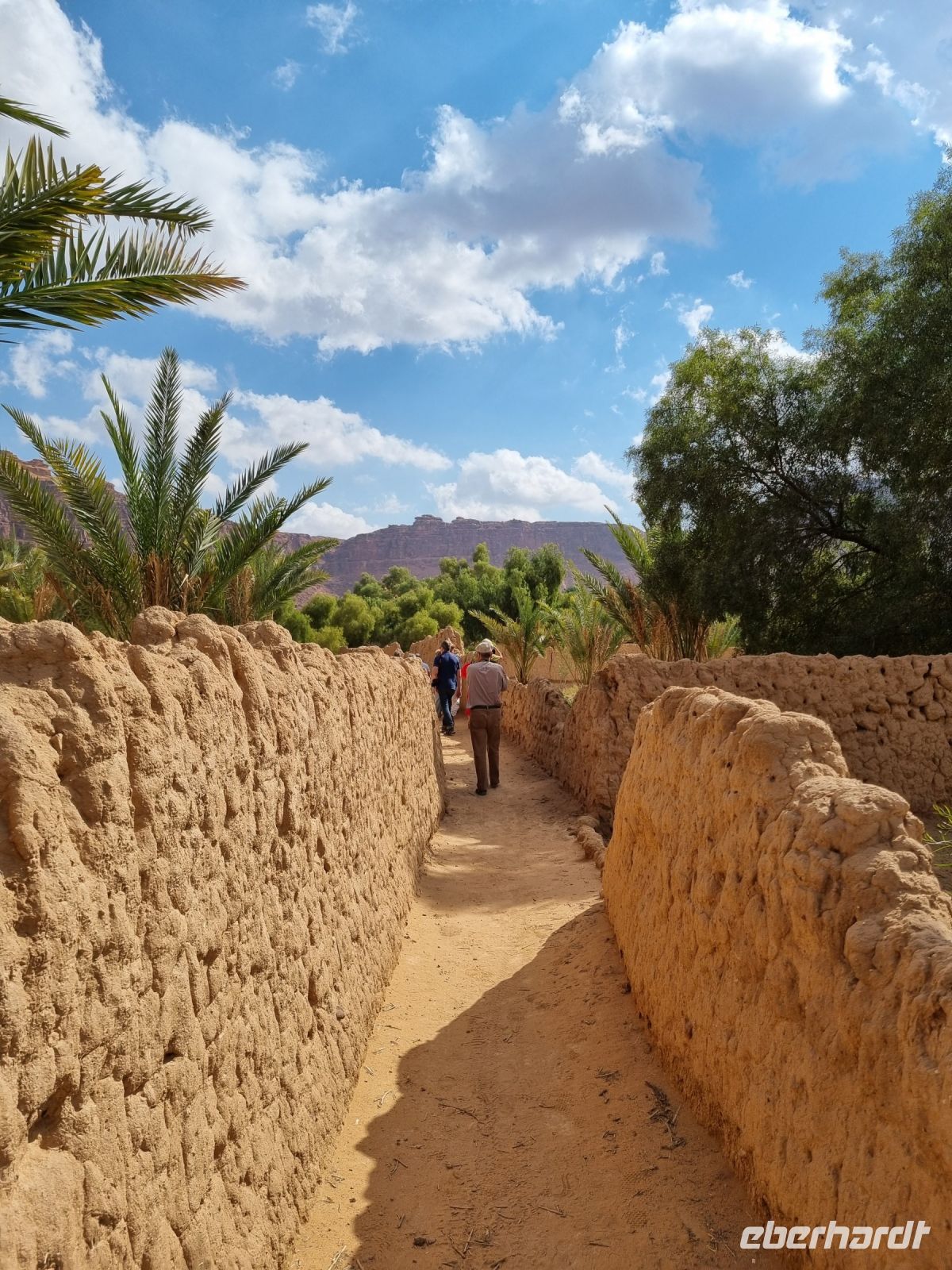 Al-Ula - Oase Daimumah