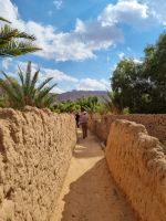 Al-Ula - Oase Daimumah