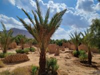 Al-Ula - Oase Daimumah