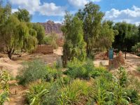 Al-Ula - Oase Daimumah