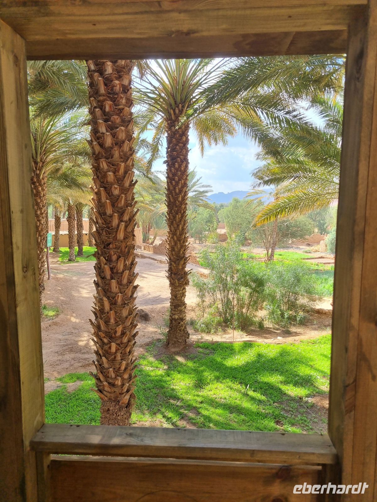 Al-Ula - Oase Daimumah