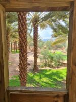 Al-Ula - Oase Daimumah