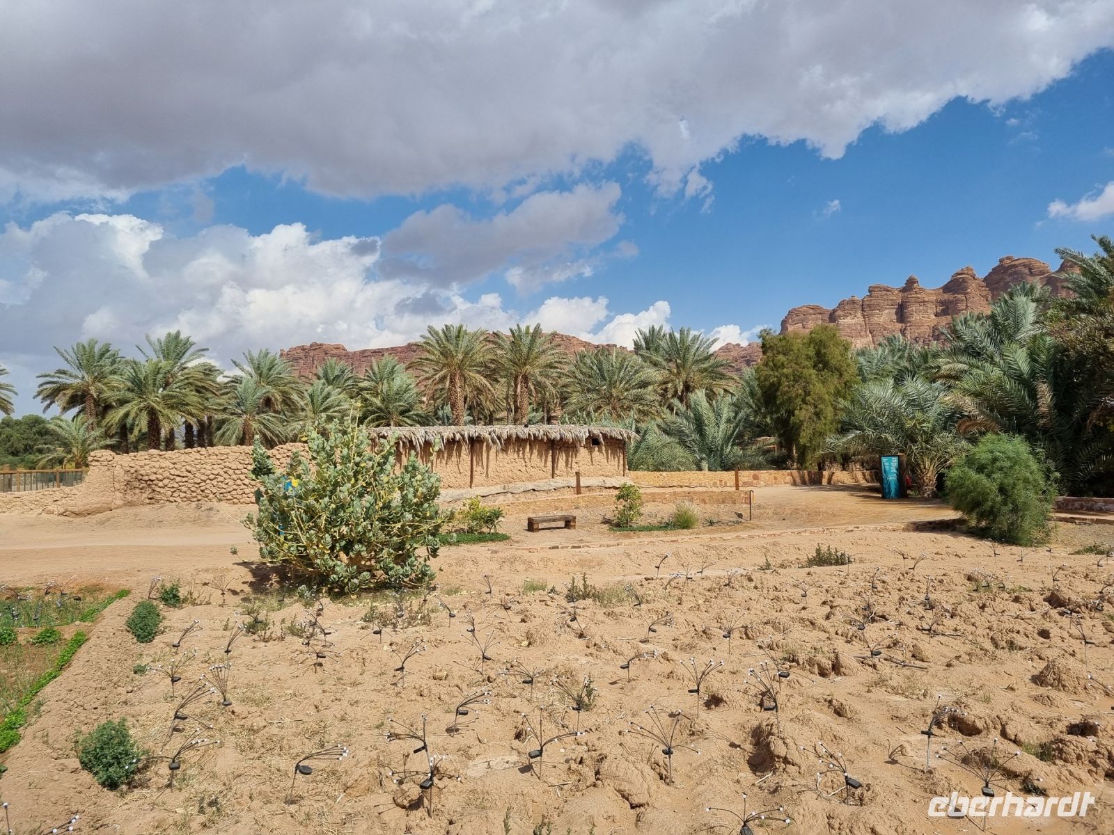 Al-Ula - Oase Daimumah