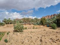 Al-Ula - Oase Daimumah