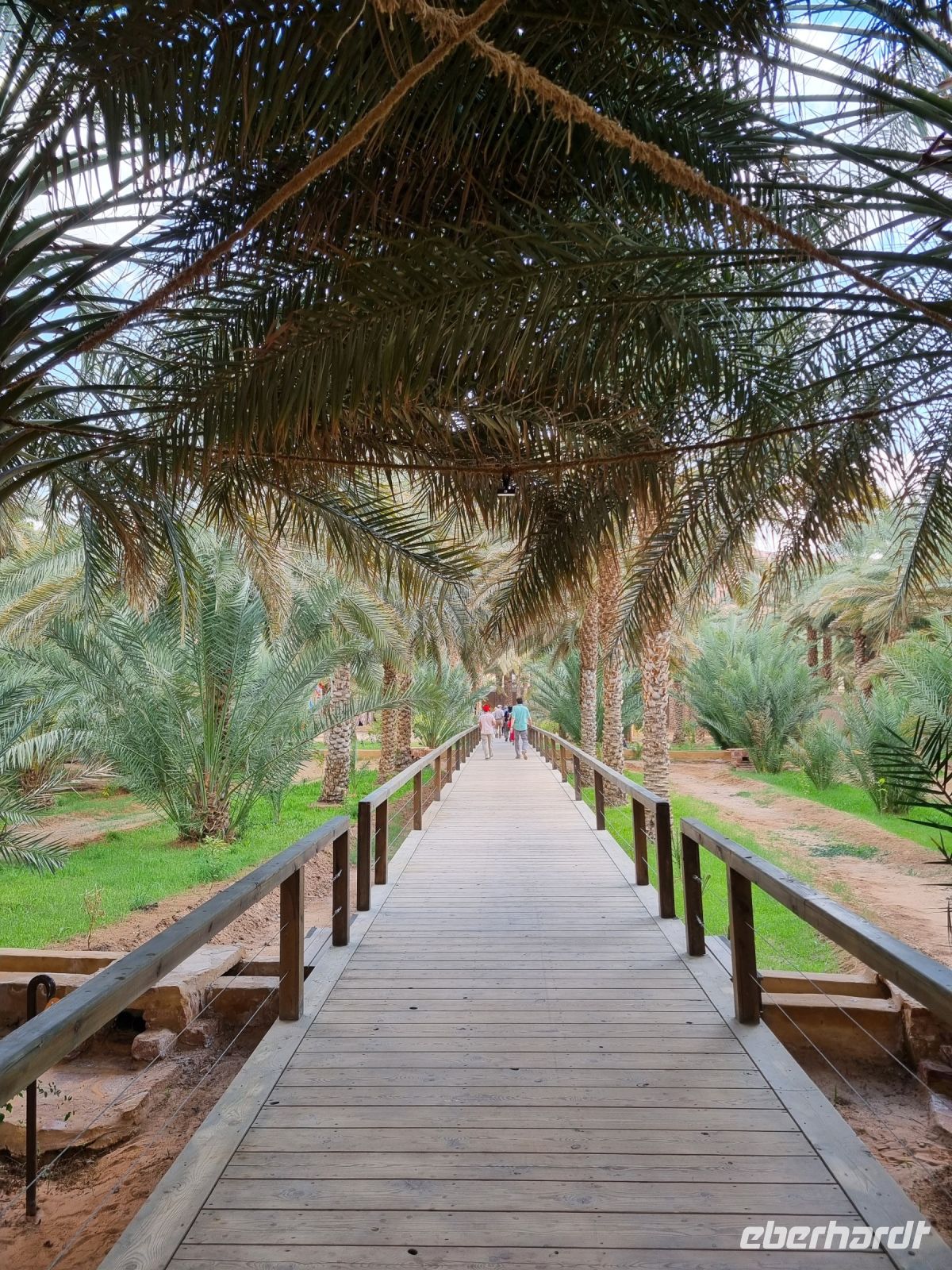 Al-Ula - Oase Daimumah