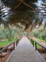 Al-Ula - Oase Daimumah