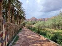 Al-Ula - Oase Daimumah