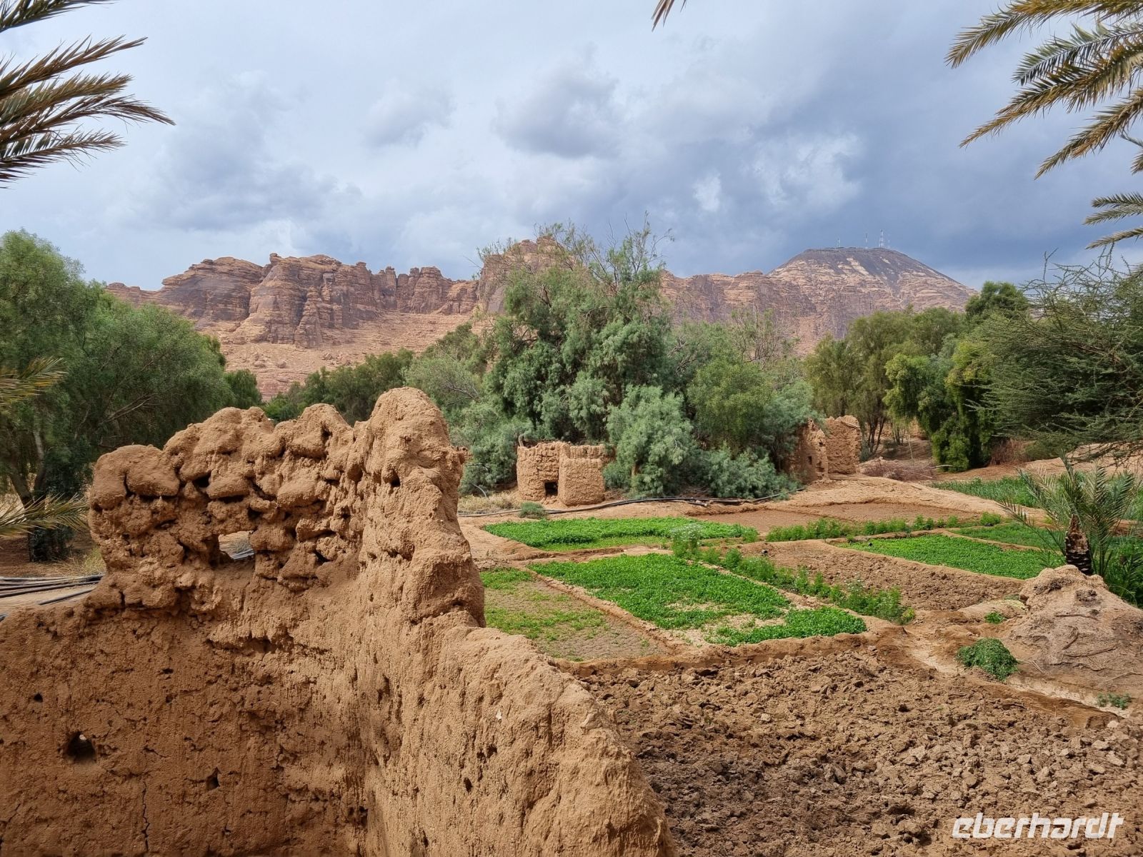 Al-Ula - Oase Daimumah